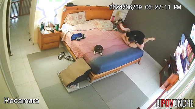 A seductive girl plays with her bored husband's penis under her shorts