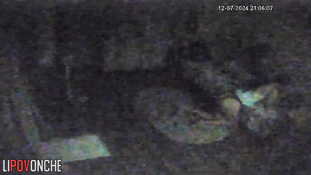 Ladies chatting in the living room / hidden camera