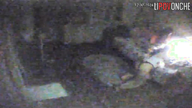 Ladies chatting in the living room / hidden camera