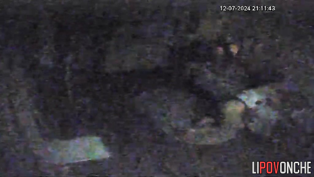 Ladies chatting in the living room / hidden camera
