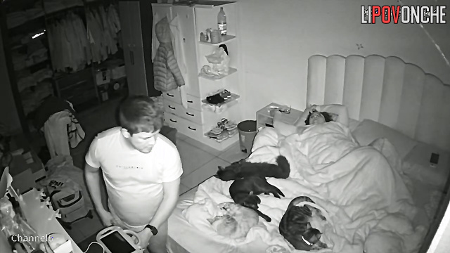 Big beauty woman enjoying sex in the presence of furry friends