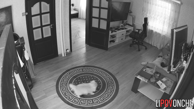 Guy's a little nervous, so he's walking around the apartment