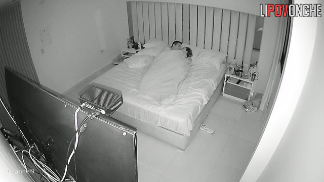 A little more blowjob and they will start fucking