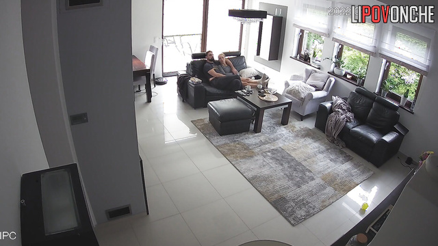 They decided to give each other attention, living room cam