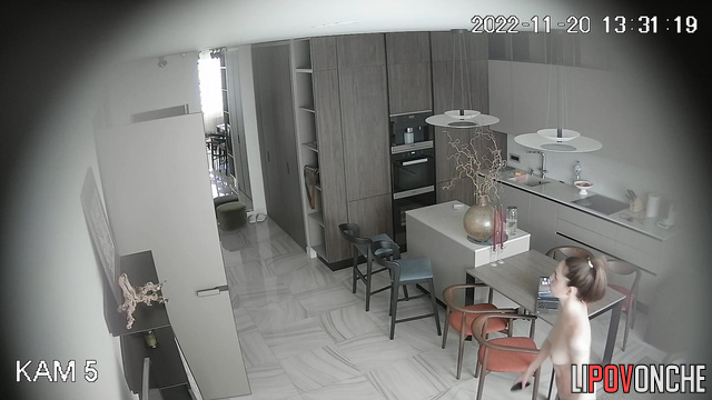  Spy Hidden Cam