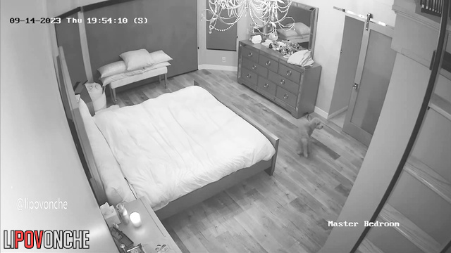  Spy Hidden Cam
