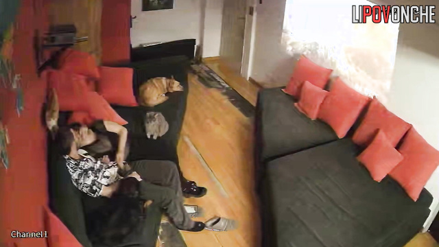  Spy Hidden Cam