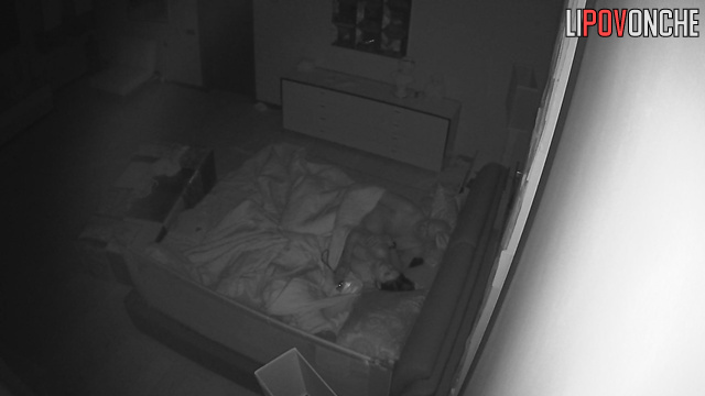 They do exactly what they love at night (spy cam)