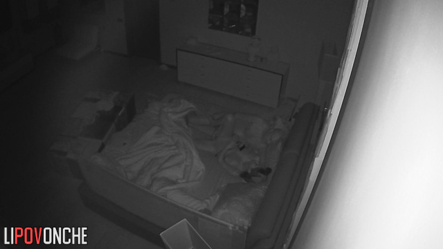 They do exactly what they love at night (spy cam)