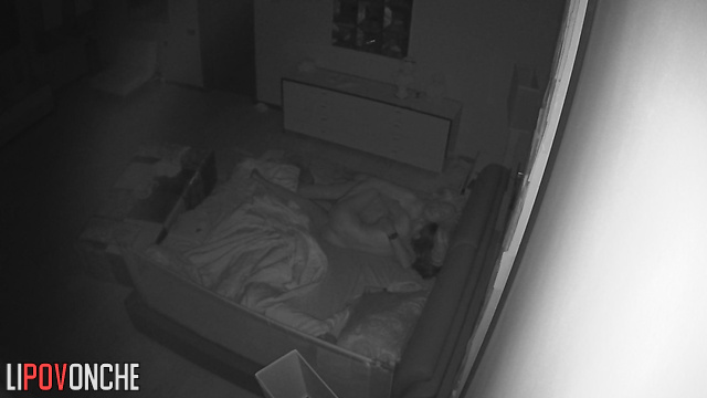 They do exactly what they love at night (spy cam)