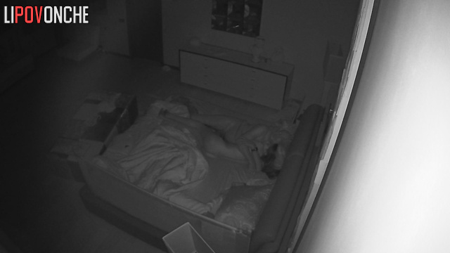They do exactly what they love at night (spy cam)