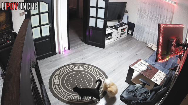  Spy Hidden Cam