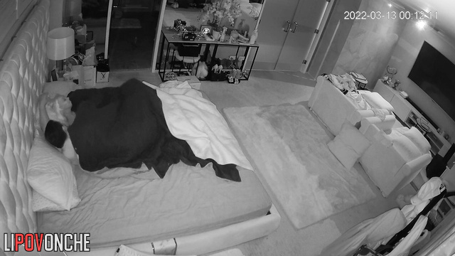  Spy Hidden Cam