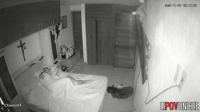 Husband caresses his sleepy wife's wet pussy before fucking her