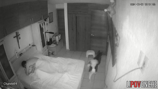 Husband warms up his sleepy wife's wet pussy with his tongue