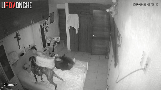 Excited husband shoots his load right into his wife's hot pussy