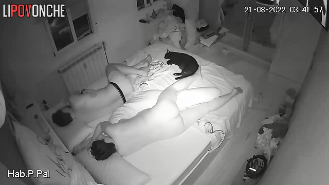 Husband caresses his naked pregnant wife with big tits before bedtime
