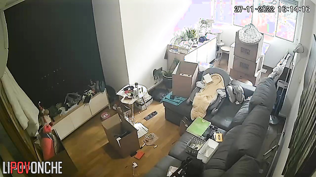 They just rented an apartment and immediately started having sex