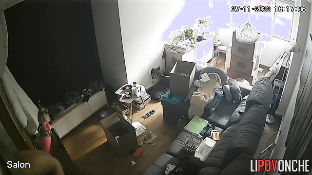 They just rented an apartment and immediately started having sex