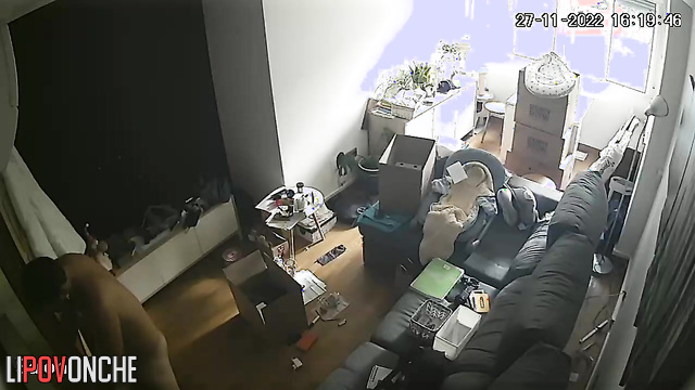 They just rented an apartment and immediately started having sex
