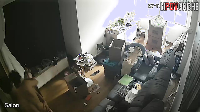 They just rented an apartment and immediately started having sex