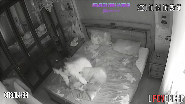 They start from oral satisfaction and finish with hard pussy fuck until orgasm