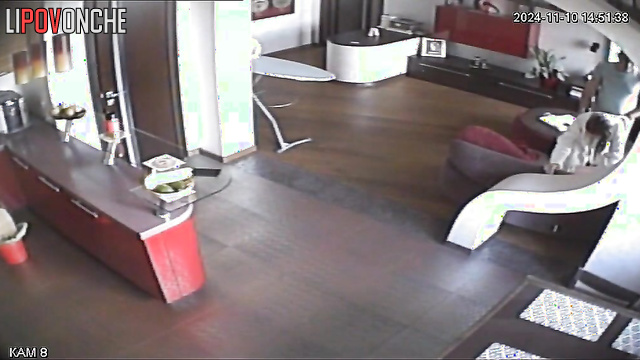  Spy Hidden Cam