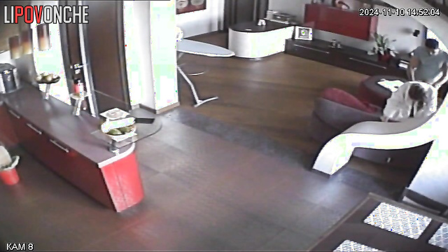  Spy Hidden Cam