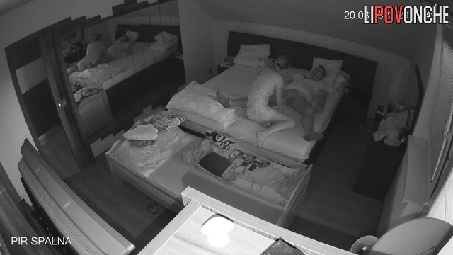  Spy Hidden Cam