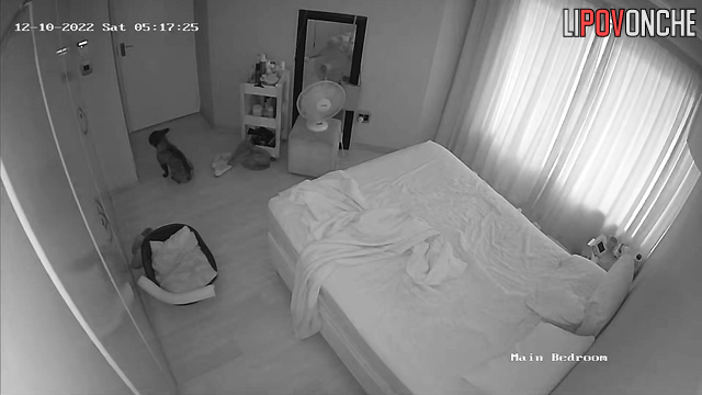 Spouses never dreamed someone had decided to watch closely