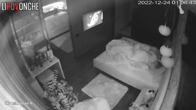  Spy Hidden Cam