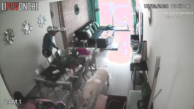 Their son installed a hidden cam in their living room